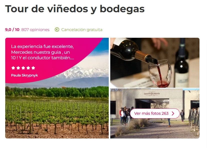 Tour de viñedos y bodegas